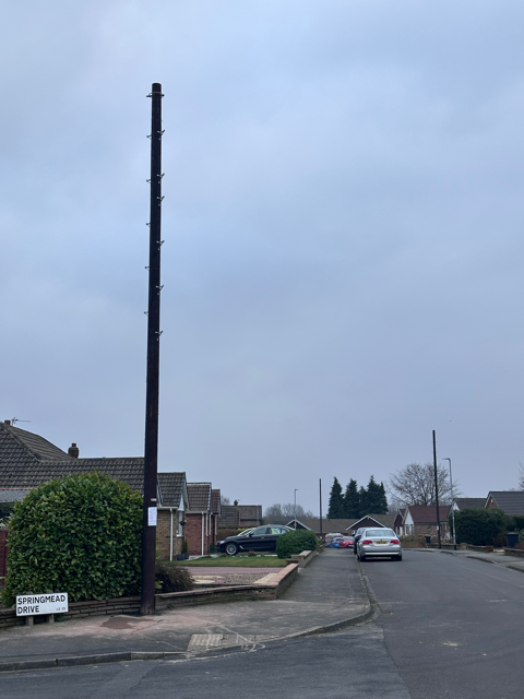 pole 1